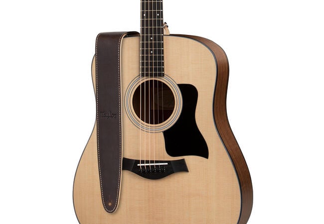 Taylor 4101-25 2.5-Inch Chocolate Brown Leather Suede Back Guitar Strap 2