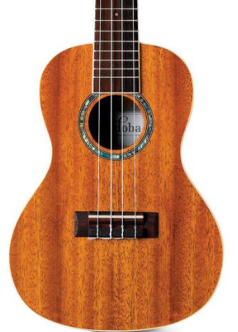 Cordoba 20CM Concert Ukulele No Case