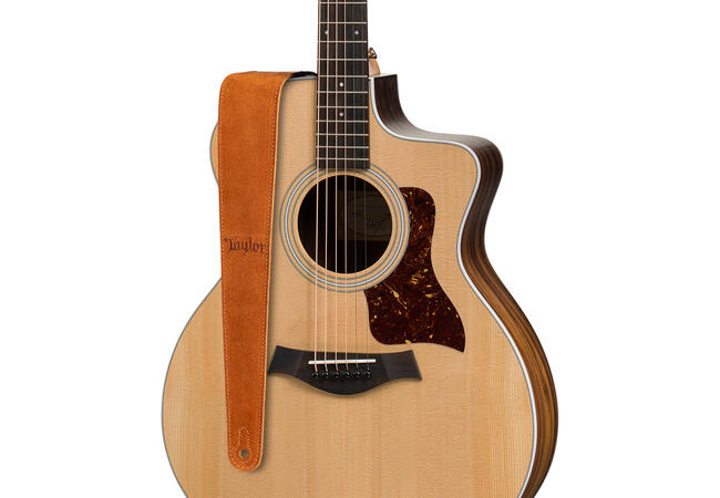 Taylor 4402-25 2.5-Inch Embroidered Suede Honey Strap