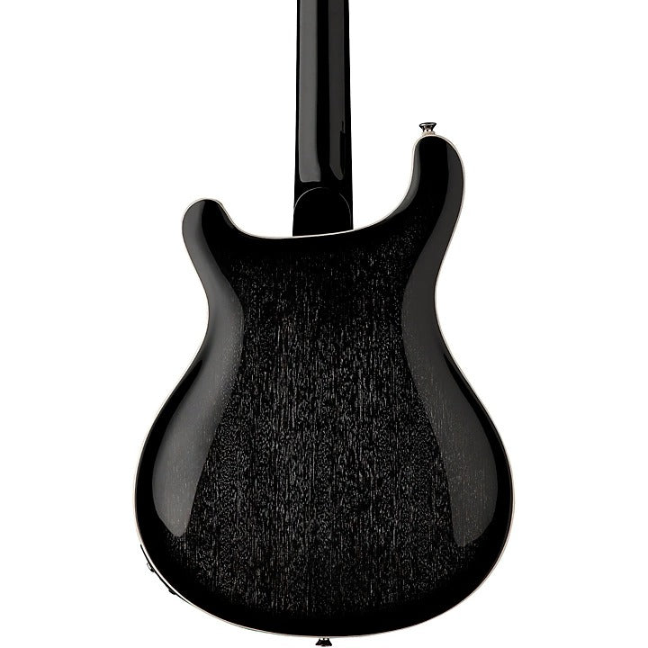 PRS SE Hollowbody Standard Piezo Electric Guitar - Dog Hair Smokeburst