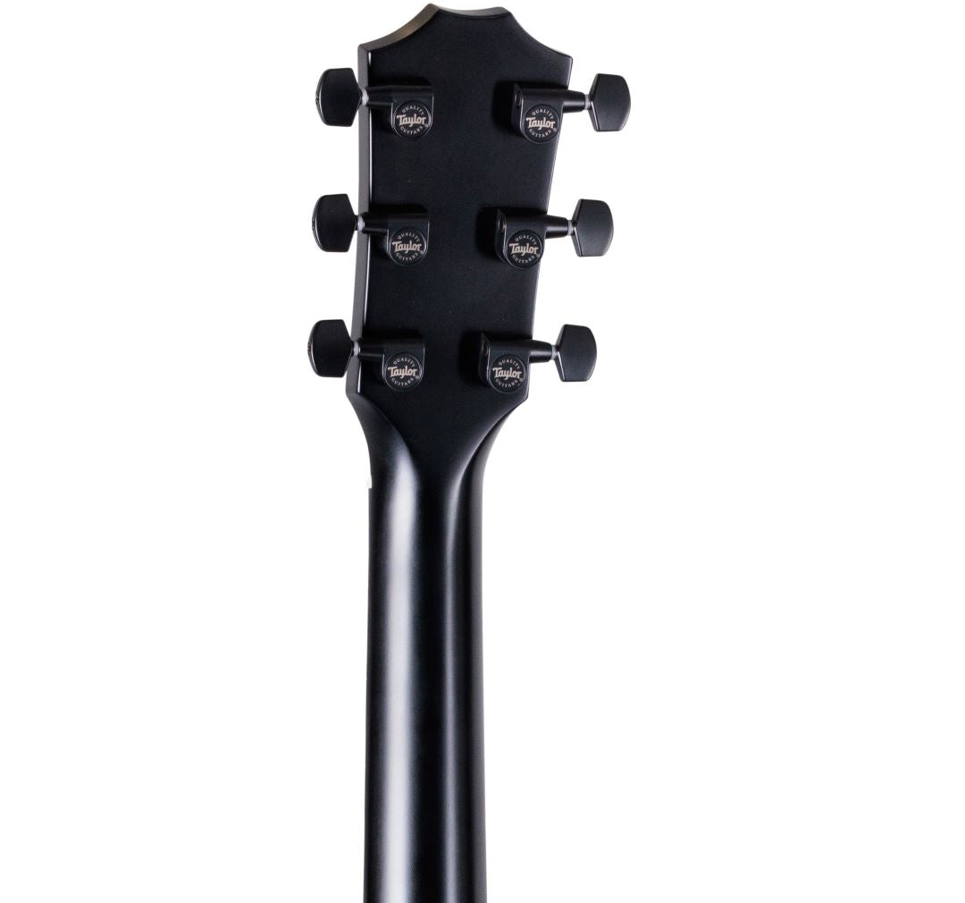 Taylor 214ce Special Edition Acoustic Electric Guitar - Transparent Grey