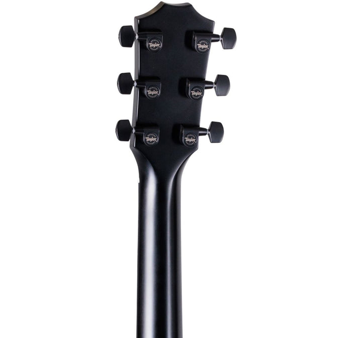 Taylor 214ce Special Edition Acoustic Electric Guitar - Transparent Grey