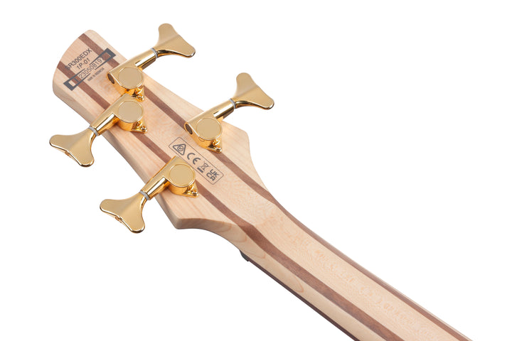 Ibanez SR300EDXBZM Standard Bass Guitar - Black Ice Frozen Matte