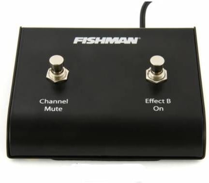 Fishman Loudbox Amplifier Dual Footswitch
