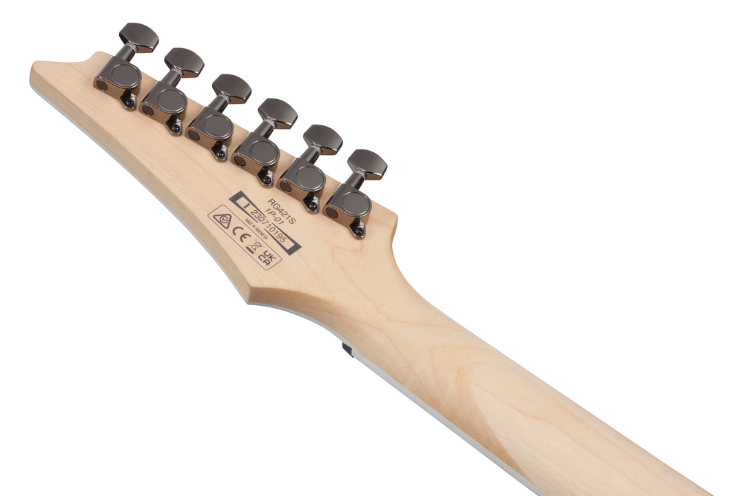 Ibanez RG421SSEM Standard Electric Guitar - Sea Shore Matte