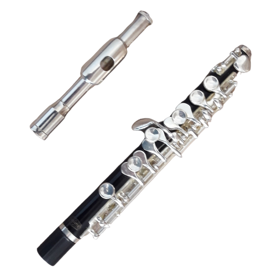 Used Bundy Resonite (ABS Resin) C-Piccolo - With Protec Case & Cork Grease