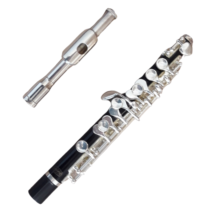 Used Bundy Resonite (ABS Resin) C-Piccolo - With Protec Case & Cork Grease