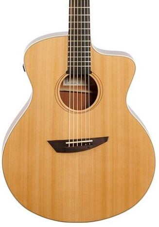 Ibanez PA230ENSL Acoustic Electric Guitar - Natural Satin