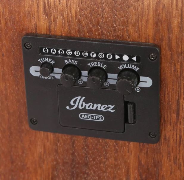 Ibanez AW54CEOPN Artwood Dreadnought Acoustic-Electric Guitar (Open Pore Natural)