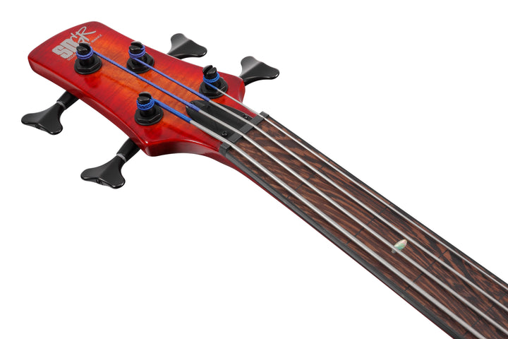 Ibanez SRD900FBTL Bass Workshop Fretless Bass Guitar - Brown Topaz Burst