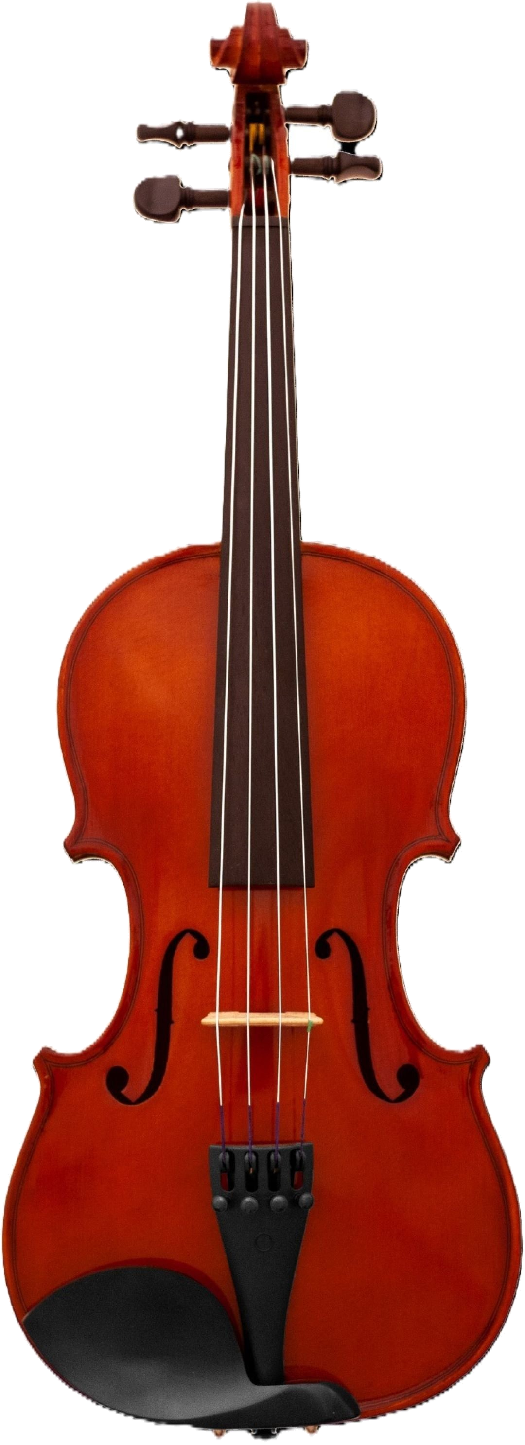 Maple Leaf Strings MLS110VN Violin Outfit - 1/16 Size 4