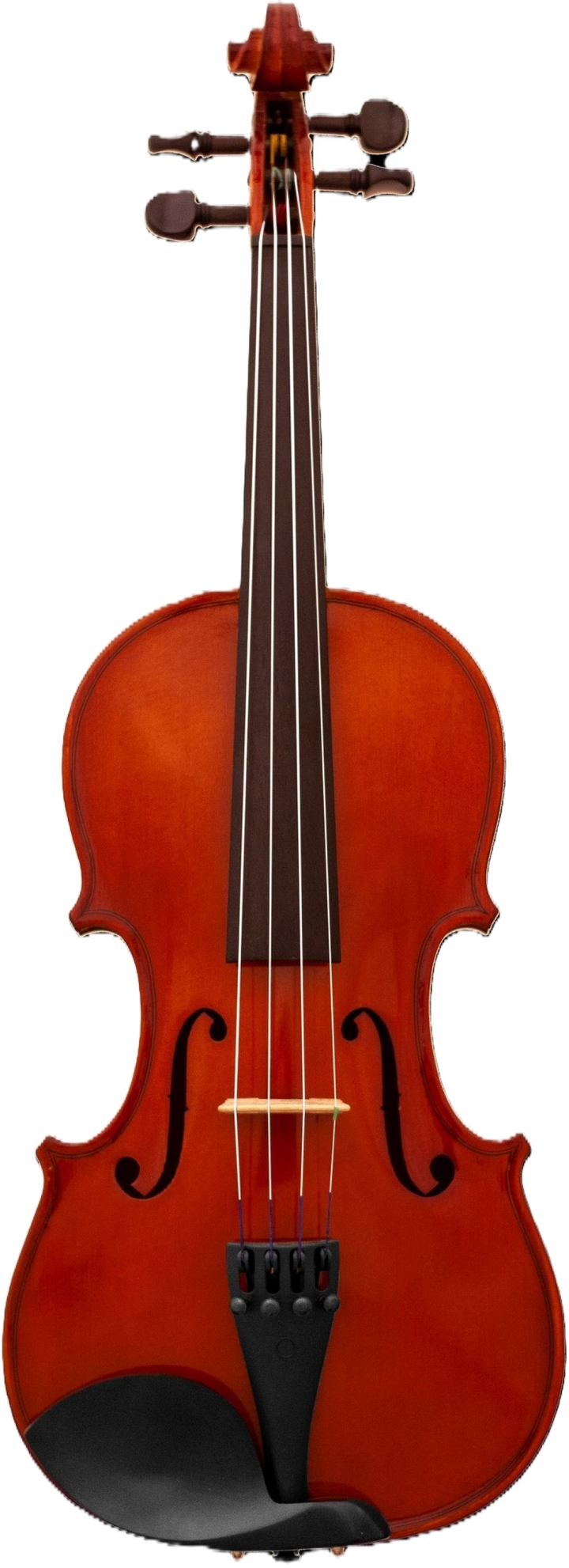 Maple Leaf Strings MLS110VN Violin Outfit - 1/16 Size 4