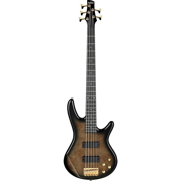 Ibanez Gio 5-String Electric Bass Guitar - Transparent Pale Black Burst 5