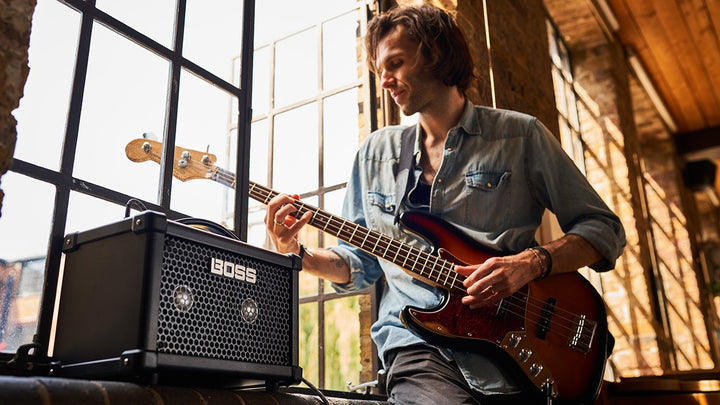 Boss Dual Cube Bass LX Amplifier