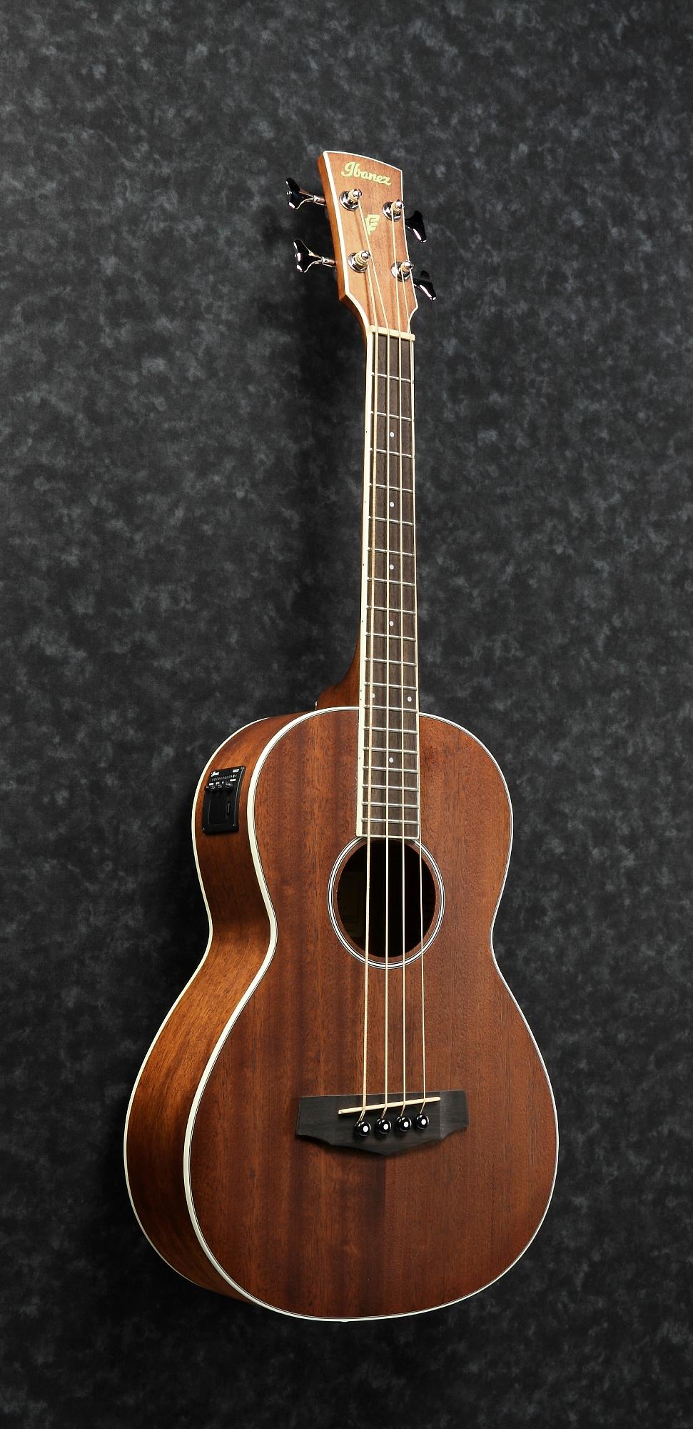 Ibanez PNB14EOPN Parlor Acoustic/Electric Bass (Open Pore Natural)