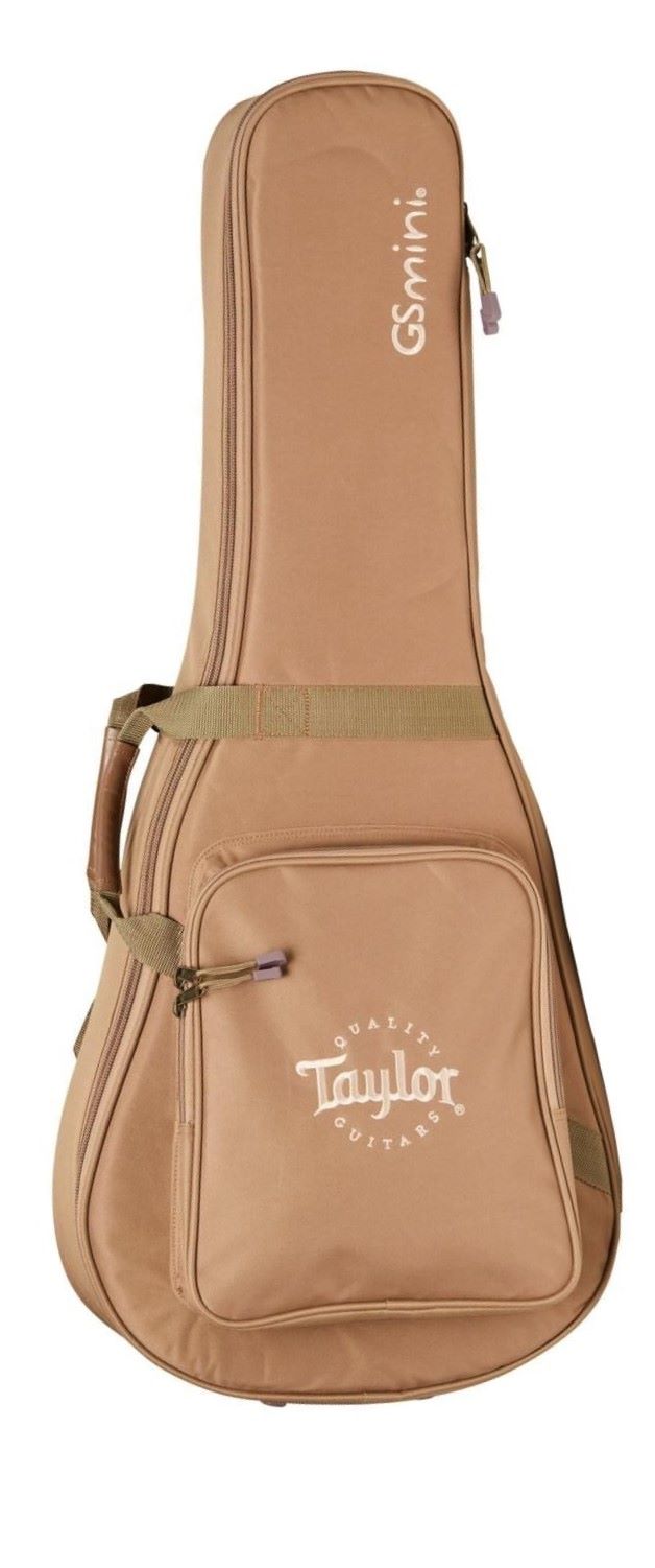 Taylor 'Limited Edition' G4V GS Mini Acoustic Guitar - 4 Vets Custom Artwork 8