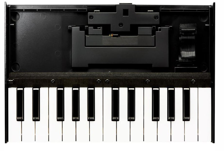 Roland K-25m Boutique Series Keyboard Unit
