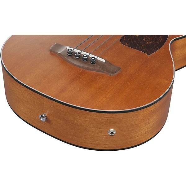 Ibanez PCB54EOPN Acoustic Electric Bass Guitar - Open Pore Natural 2