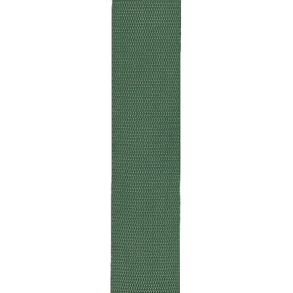 D'addario Poly Pro Auto Lock Strap - Green 3