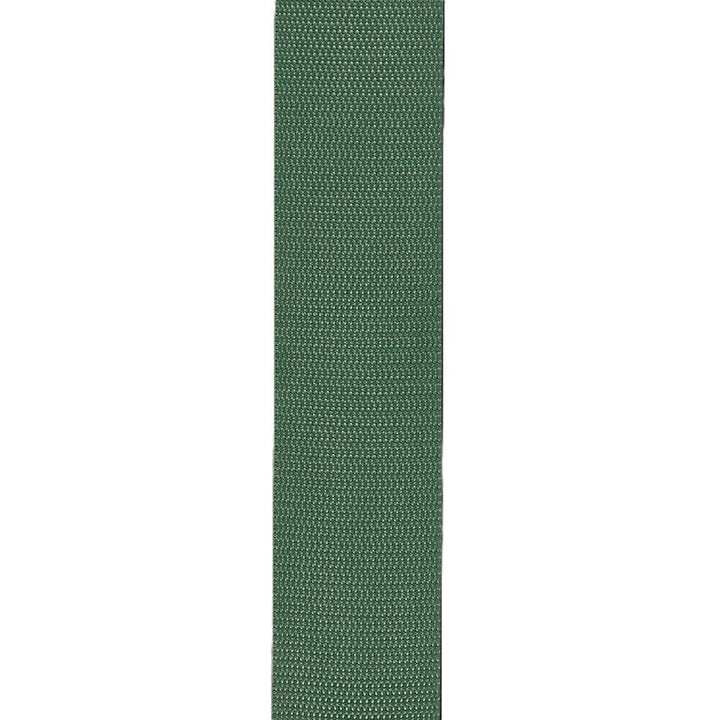 D'addario Poly Pro Auto Lock Strap - Green 3