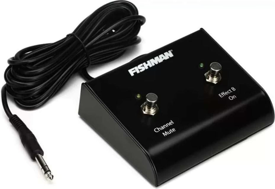 Fishman Loudbox Amplifier Dual Footswitch