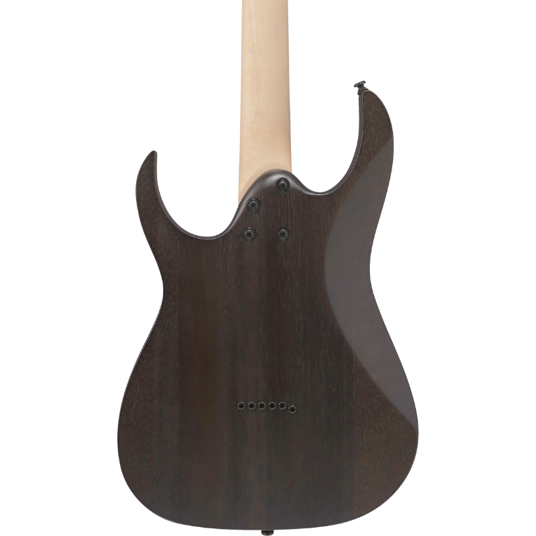 Ibanez RGR431PB Standard Electric Guitar - Charcoal Gray Flat 4
