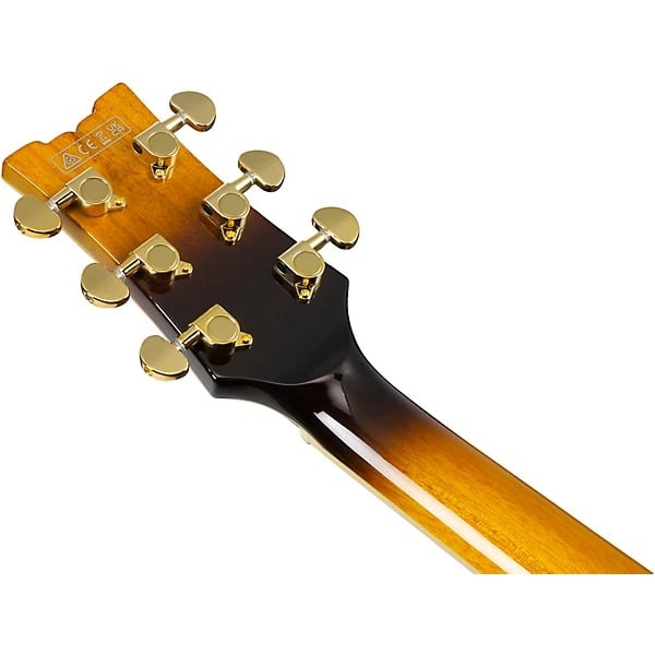 Ibanez JSM10EMTTB John Scofield Signature  Electric Guitar - Two-Tone Burst 2