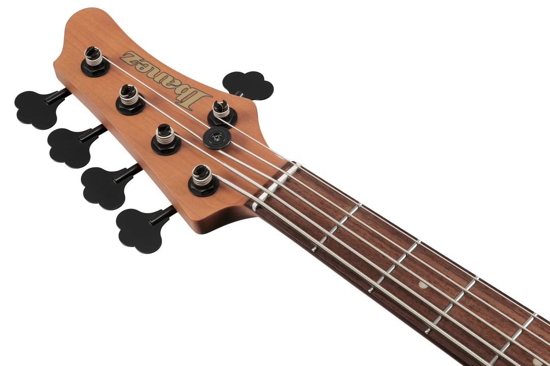 Ibanez MDM1005MAM MDM 5-String Electric Bass Guitar - Midnight Arctic Ocean Matte 2