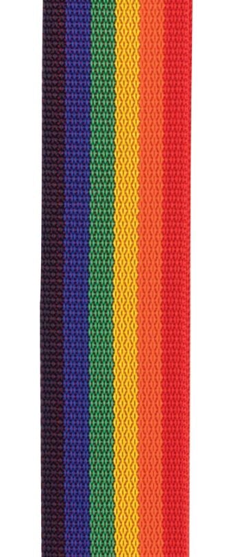 D'Addario PWSAL411 Poly Pro Auto Lock Strap (Rainbow) 2