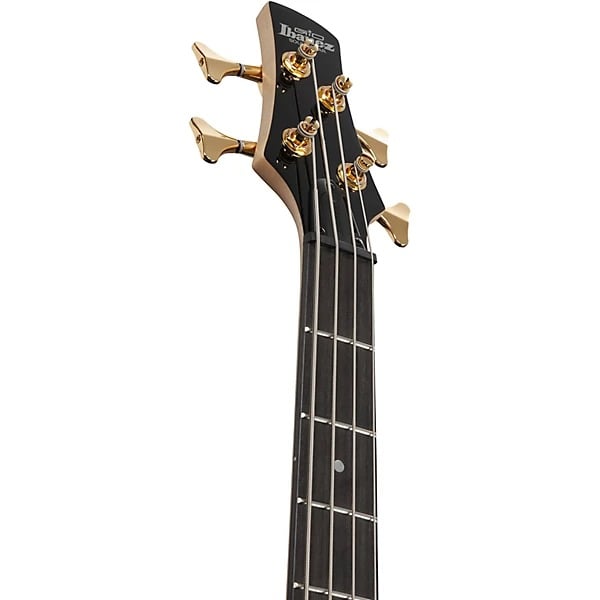 Ibanez Gio Electric Bass Guitar - Transparent Pale Black Burst 3