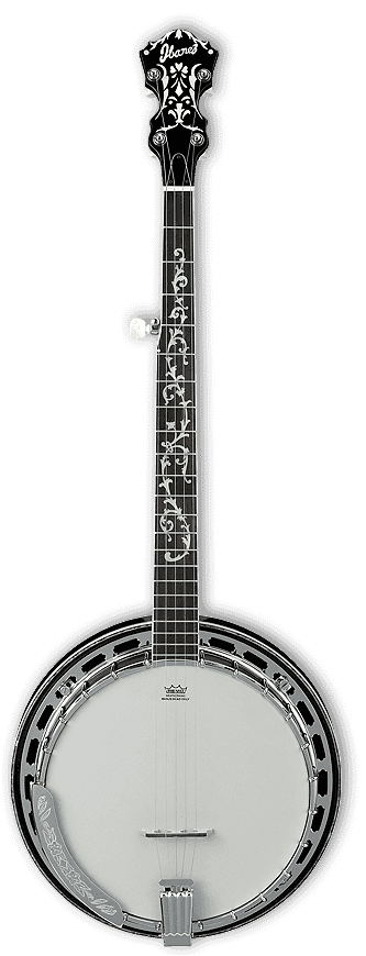 Ibanez B300 5-String Banjo with Rosewood Resonator