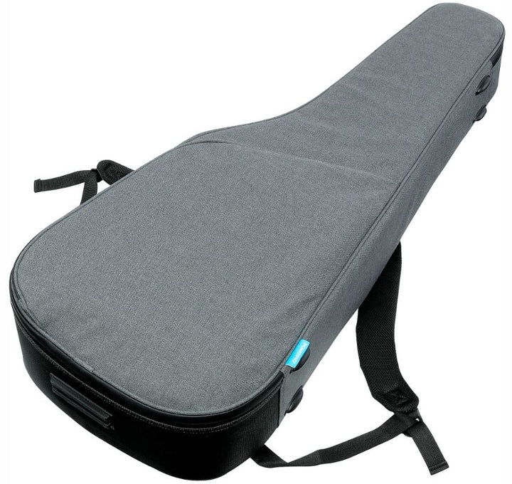 Ibanez PA230ENSL Acoustic Electric Guitar - Natural Satin