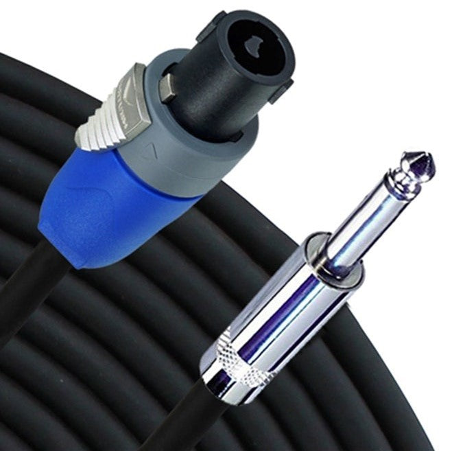 Rapco 3-Foot Speaker Cable - 1/4\" Male To Speakon