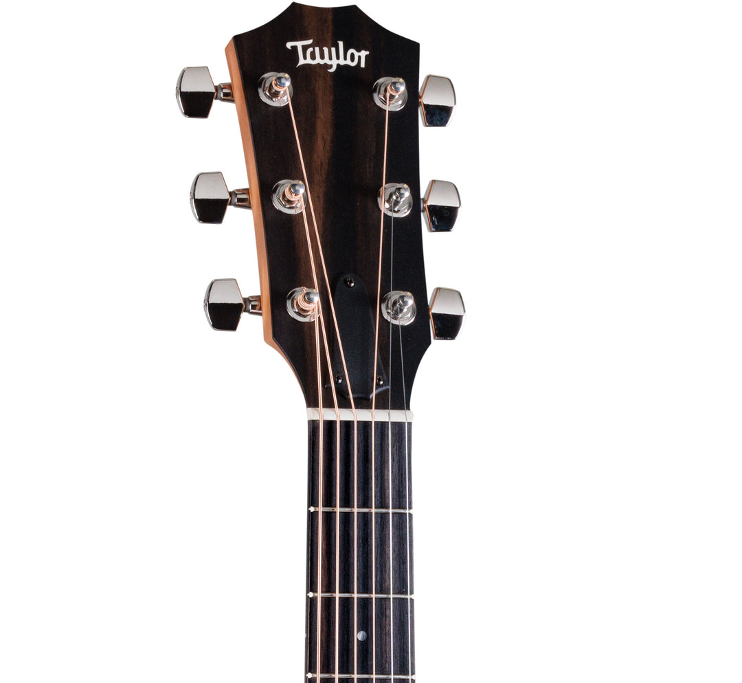 taylor-214ce-k-sb-plus-acoustic-electric-shaded-sunburst-with-aerocase 3